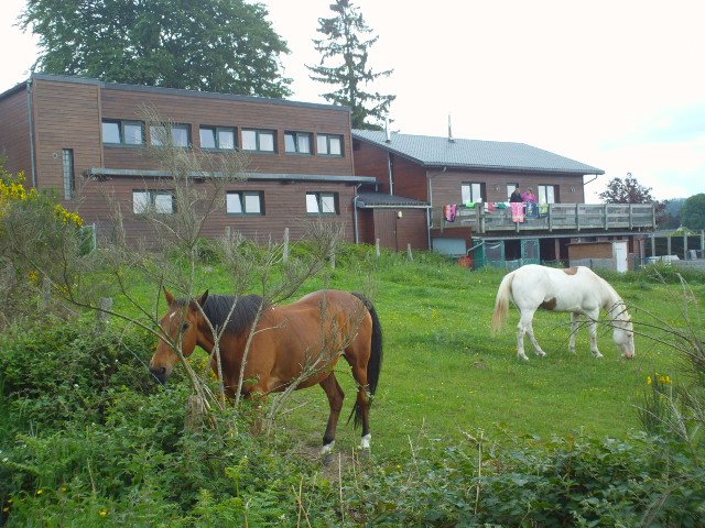 2014hwk 015.jpg